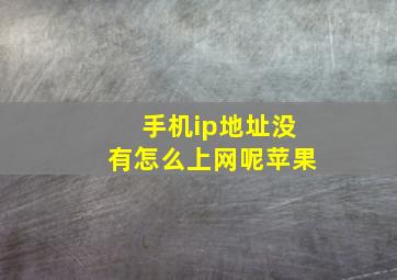 手机ip地址没有怎么上网呢苹果