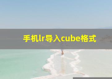 手机lr导入cube格式