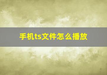 手机ts文件怎么播放