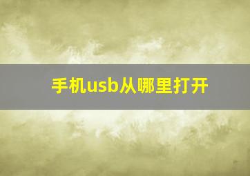 手机usb从哪里打开