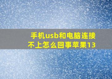 手机usb和电脑连接不上怎么回事苹果13