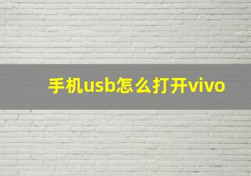 手机usb怎么打开vivo