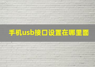 手机usb接口设置在哪里面