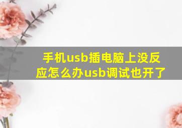 手机usb插电脑上没反应怎么办usb调试也开了