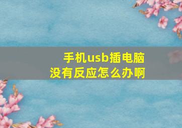 手机usb插电脑没有反应怎么办啊