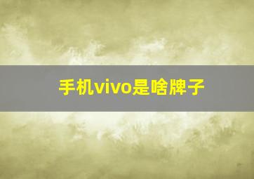 手机vivo是啥牌子