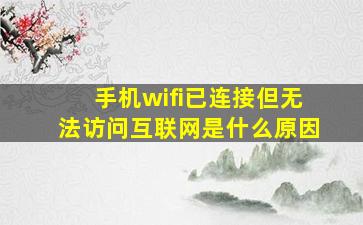 手机wifi已连接但无法访问互联网是什么原因