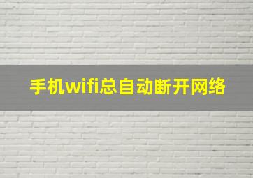 手机wifi总自动断开网络