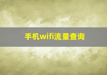 手机wifi流量查询