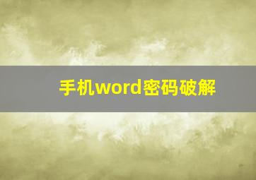 手机word密码破解