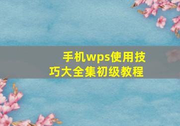 手机wps使用技巧大全集初级教程