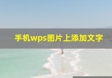 手机wps图片上添加文字