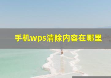 手机wps清除内容在哪里