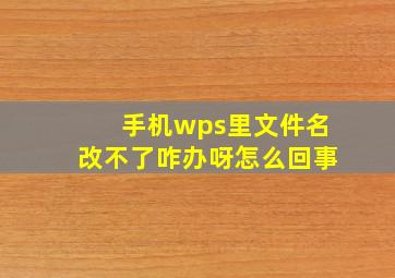 手机wps里文件名改不了咋办呀怎么回事