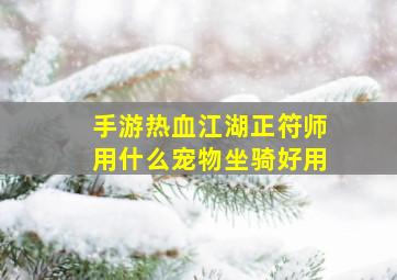 手游热血江湖正符师用什么宠物坐骑好用