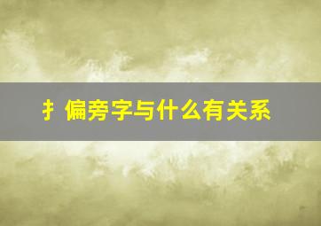 扌偏旁字与什么有关系