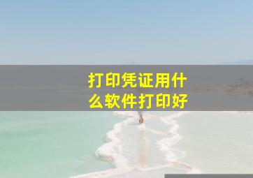 打印凭证用什么软件打印好