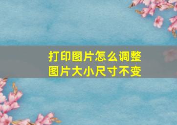 打印图片怎么调整图片大小尺寸不变