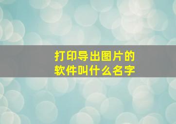 打印导出图片的软件叫什么名字