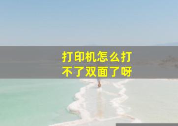 打印机怎么打不了双面了呀