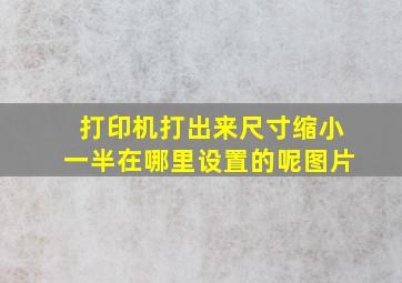 打印机打出来尺寸缩小一半在哪里设置的呢图片