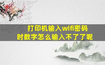 打印机输入wifi密码时数字怎么输入不了了呢