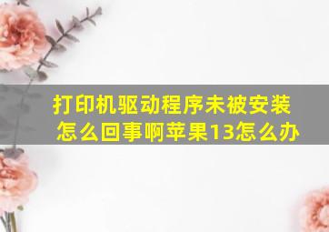 打印机驱动程序未被安装怎么回事啊苹果13怎么办