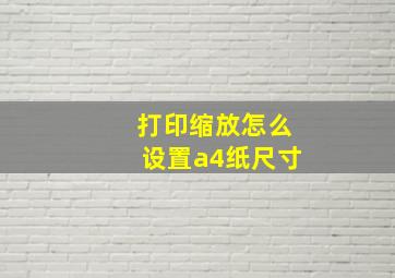 打印缩放怎么设置a4纸尺寸