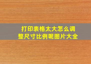 打印表格太大怎么调整尺寸比例呢图片大全