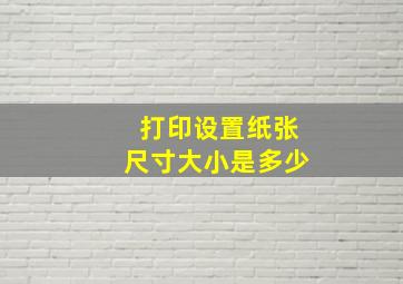 打印设置纸张尺寸大小是多少