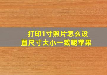 打印1寸照片怎么设置尺寸大小一致呢苹果