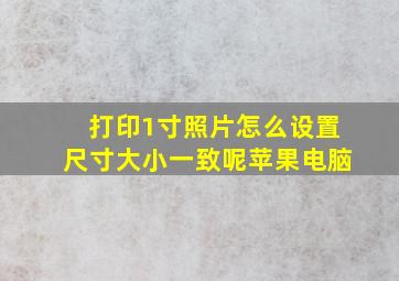 打印1寸照片怎么设置尺寸大小一致呢苹果电脑