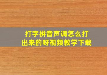 打字拼音声调怎么打出来的呀视频教学下载