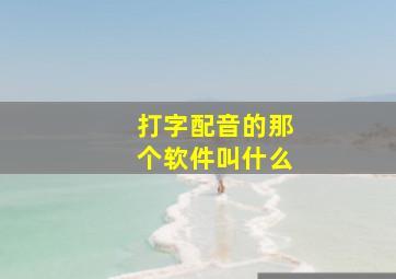 打字配音的那个软件叫什么