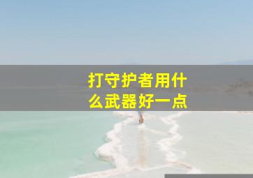 打守护者用什么武器好一点