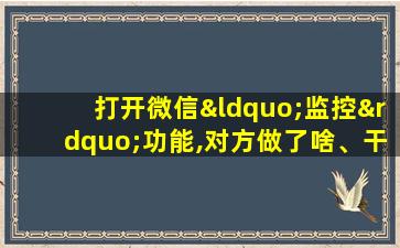 打开微信“监控”功能,对方做了啥、干了啥,都一清二楚