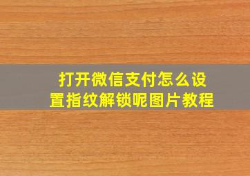 打开微信支付怎么设置指纹解锁呢图片教程