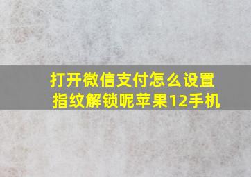 打开微信支付怎么设置指纹解锁呢苹果12手机