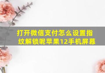 打开微信支付怎么设置指纹解锁呢苹果12手机屏幕