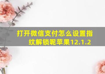 打开微信支付怎么设置指纹解锁呢苹果12.1.2