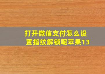 打开微信支付怎么设置指纹解锁呢苹果13