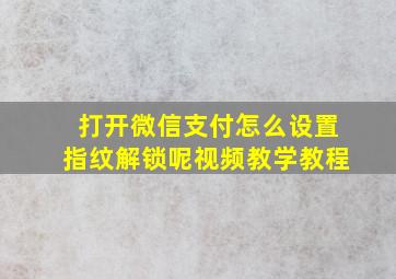 打开微信支付怎么设置指纹解锁呢视频教学教程