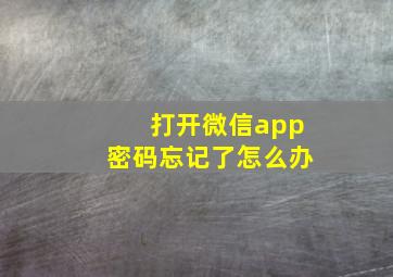 打开微信app密码忘记了怎么办