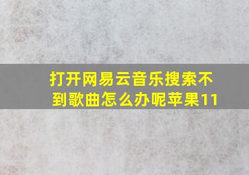 打开网易云音乐搜索不到歌曲怎么办呢苹果11