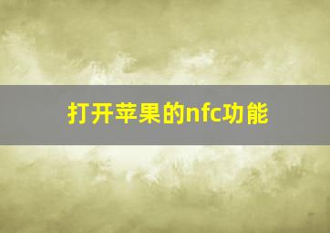 打开苹果的nfc功能