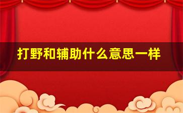 打野和辅助什么意思一样