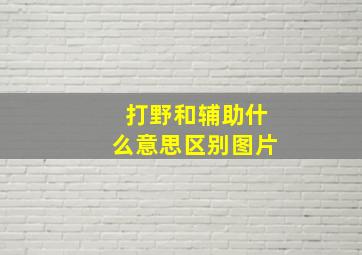 打野和辅助什么意思区别图片