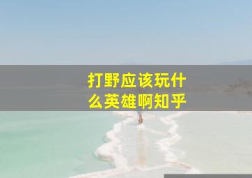 打野应该玩什么英雄啊知乎