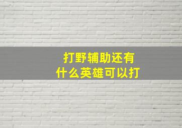 打野辅助还有什么英雄可以打