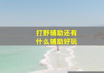 打野辅助还有什么辅助好玩